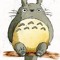 Totoro Lover
