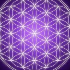 KRAZYCONNECTED
