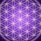 KRAZYCONNECTED
