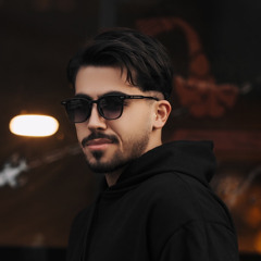 Sina Narimani