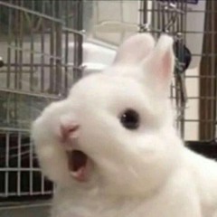 하민