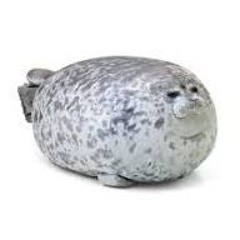 stefkebogi