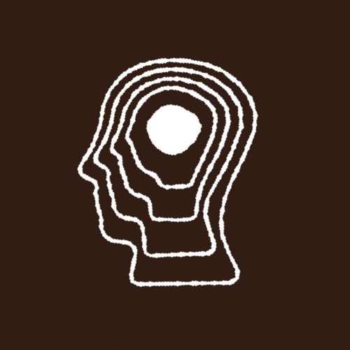 Sauna Social Club — artist photo