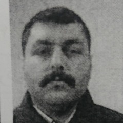 Mohammad Soltanian