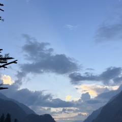 the tripper🏴‍☠️🏴‍☠️