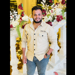 Mostafa Amir Elshehaby