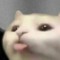 kier6nn