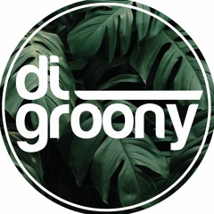 dj groony
