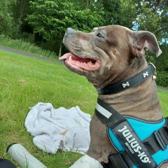 Traceym 💚☘️🏴󠁧󠁢󠁳󠁣󠁴󠁿