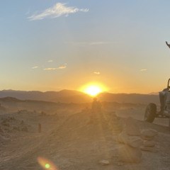 Blink 182- TOYPAJ bonus songs