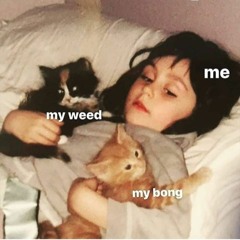🌙