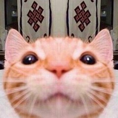 Pablogot 25