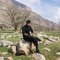 Hamed Karimi