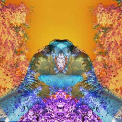 Pick it up Put it in the Pocket