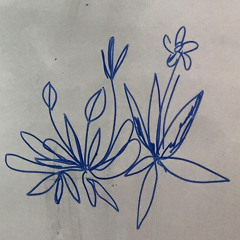 geum