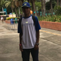 Breiner hoyos