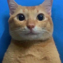 garfie