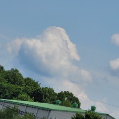 스포티지 Rrrrrrrr