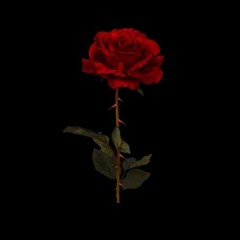 BruceTylerOLeary8