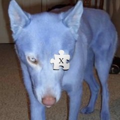 𝓇𝒾𝓅𝒹𝑜𝑔𝓂𝒶