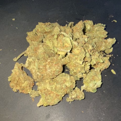 🌿10420