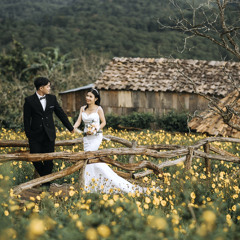 Đạt Béoo