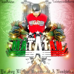 Infamoso Oso Matatan