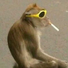 Energy Spin / Big Mono