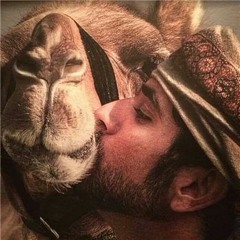 Suhail Salib