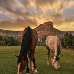 ءَالَآء عَبْدِ الْحَمِيد𓂆