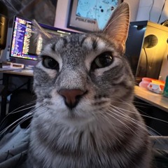 Pwoejt