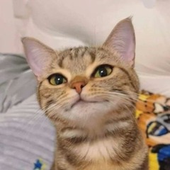 Swifta Beater - Food Move (Instrumental)