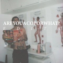 Are You a Cop or What?