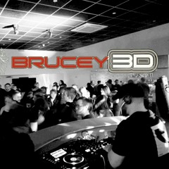 BRUCEY3D