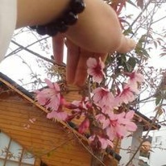 Bùi Thanh Phương Na