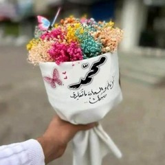 الكبيرة غالى غالى