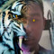 jlee62animallover