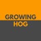 Growing Hog
