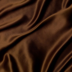 Brown Media Production