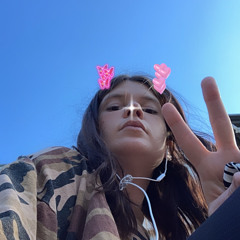 silki