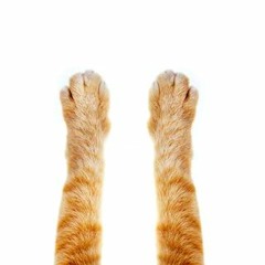 TabbyPause