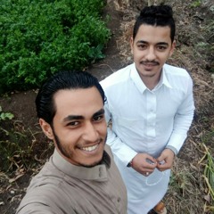 الموكشه