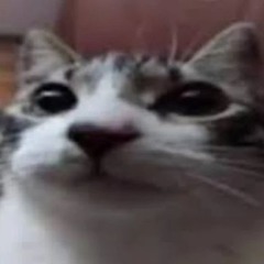 Rhiy