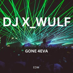 DJ X_WULF