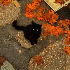 icantdothisanymorex_x