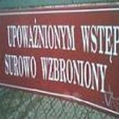 krzysiu