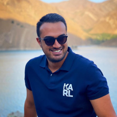Reza AliJani