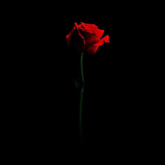 K12🥀