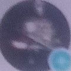 AmramR.I.PAmayaNewJerseyTrentonSouthmeninmotherfuc