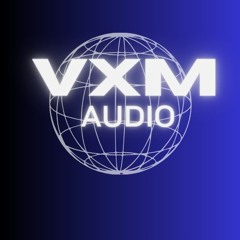 VXM Audio